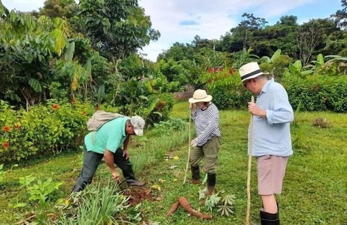 Sabalos Cabina | La Mariola - Finca Agroecológica