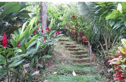 Sabalos Cabina | La Mariola - Finca Agroecológica