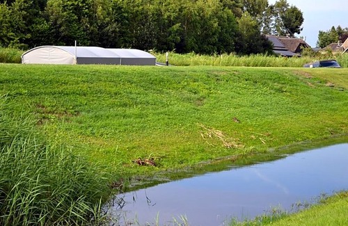 Zuideinde Cama Y Desayuno | B&B Giethoorn
