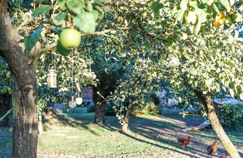 Deuten Apartamento | Cozy vacation apartment in the apple orchard
