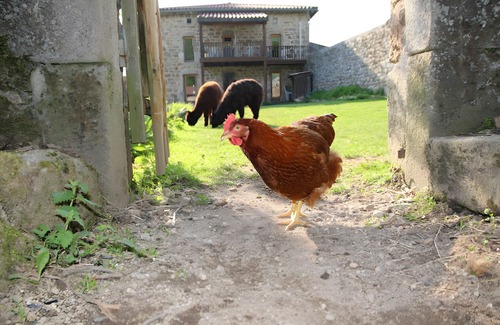 Saint-Julien-Labrousse Cabaña | Gite cabaña y animales divertidos