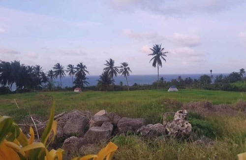 Newcastle Alquiler De RV | Camping Barbados #4 Bring Your Own Tent
