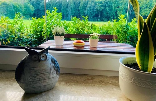 Sogel Casa | Vacation home for 4 guests with 70m² in Sögel (297795)