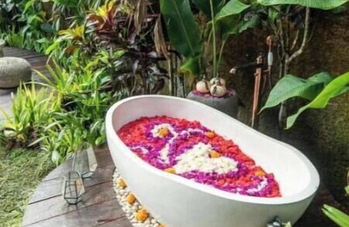 Selat Apartamento | Angel House