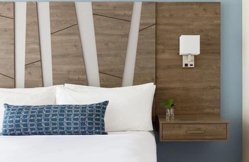 Pinellas Point Hotel | Explore St. Pete's Gems | Artistic Discoveries & Natural Wonders Await