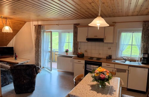 Wieden Apartamento | Holiday Apartment with Mountain View 2 with Balcony and Wi-Fi