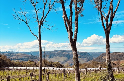 Monte Belo do Sul Cabaña | Charming and sustainable cottage in fabulous Monte Belo do Sul, RS.