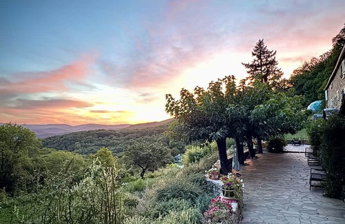Riols Cabina | Bambou Dome - Cosy dome with panoramic mountain views, surrounded by beautiful nature
