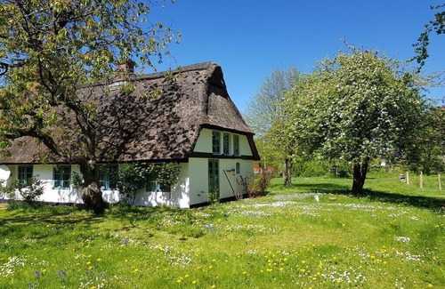Wippendorf Cabaña | Thatched cottage in the meadow