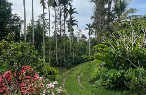 Virajpet Cabaña | The Grand Oak By TERASTAY