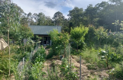 Koreelah Cabina | Offgrid Tiny Home in a Food Forest Garden