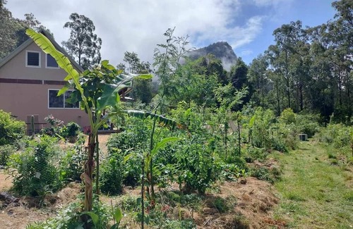 Koreelah Cabina | Offgrid Tiny Home in a Food Forest Garden