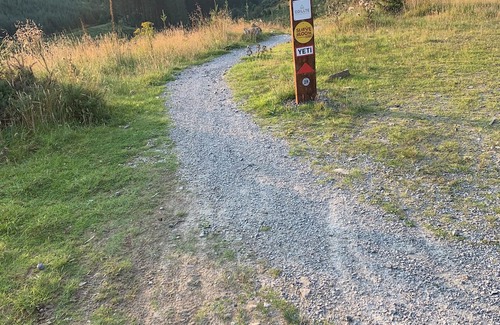 Kinnitty Cabina | Silver Bloom Cabin, a peaceful retreat in Kinnitty’s Slieve Bloom Mountains