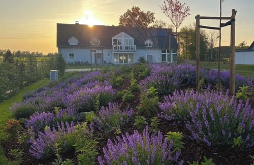 Frohburg Casa | Large country house with pool & fireplace - 30 min. Leipzig.