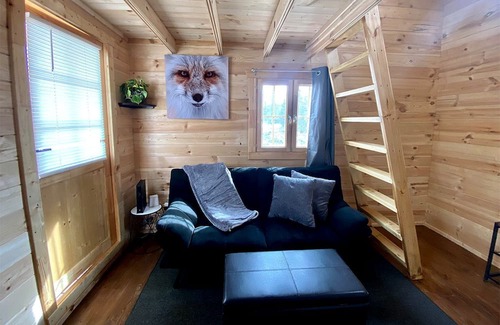 Denali Cabina | Remote and Serene Lakefront Cabin in Cantwell, Alaska, with Gorgeous Views of Nations Mountain