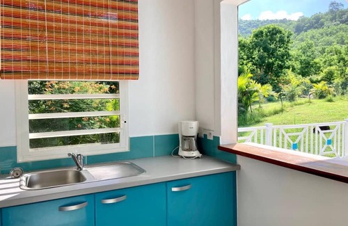 Terre-de-Bas Apartamento | Studio-Garden view-Private Bathroom