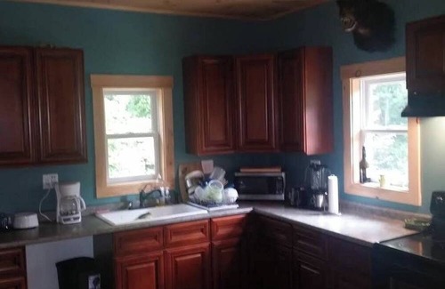 Putney Cabina | Enchanting pet-friendly and private cabin with cozy pellet fireplace