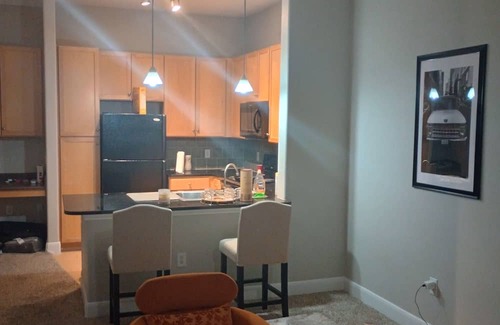 Cinco Ranch Apartamento | Cozy Luxury I BR Apartment At Energy Corridor