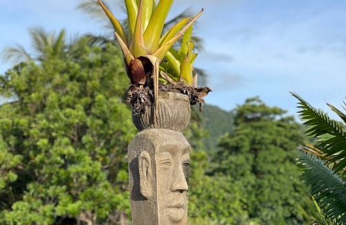 Mission Beach Apartamento | Rainforest King Rooms | Shared Kitchen + Lounge | Sleeps 2–8