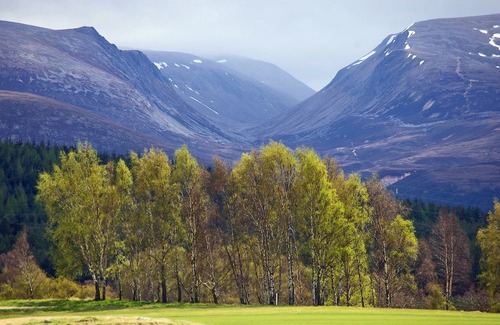 Aviemore Apartamento | Charming two-bedroom pet friendly property with fire