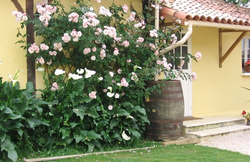 Manciet Cabaña | Charming gîte in beautiful SW France countryside