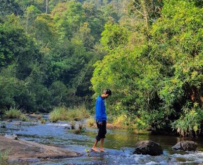 Elappara Complejo | River arena Holidays