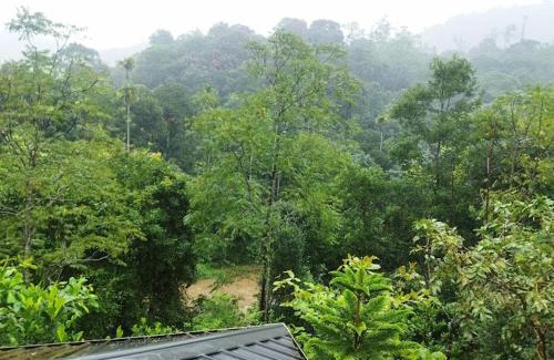 Elappara Complejo | River arena Holidays