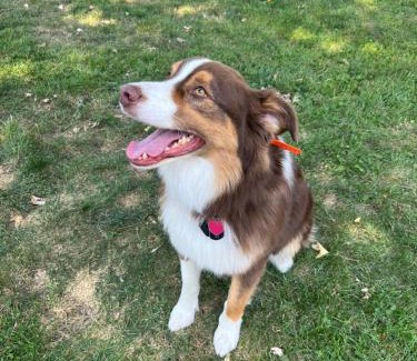 Schaumburg Casa | test 2233