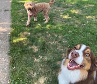 Schaumburg Casa | test 2233