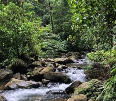 Roble Villa | Unique peaceful cabin in the sky