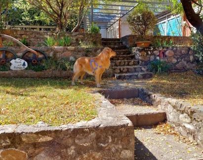 Trapiche Apartamento | Pinos del puente
