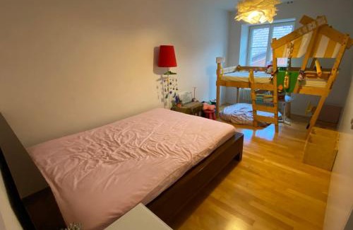 Nussbaumen Casa | Old Quarter River Front Best Location In Baden