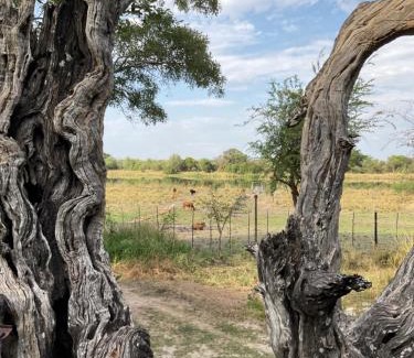 Namibia Otro | Mukuku Rest Camp