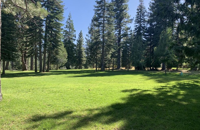 Nuevo listado: hermosa cabaña Johnsville