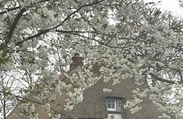 Irish Thatched cottage. Escape to a piece of living history on a country farm