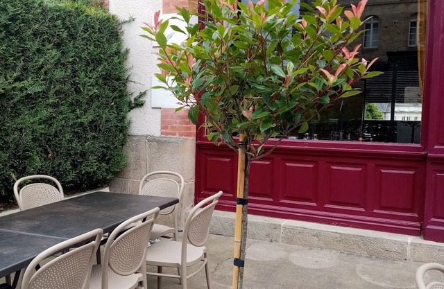 Hôtel Le Millésime