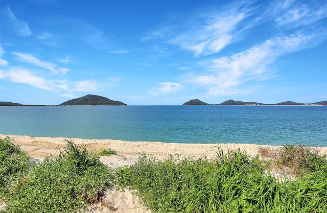 Jimmys Beach Waterfront