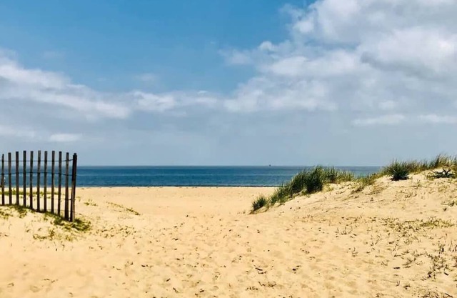 Seascape Studio Suite