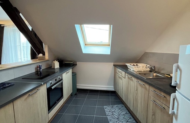 Spacious downtown apartment