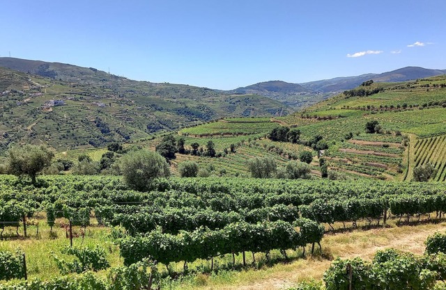 Casa N. Sra. do Carmo - Villas