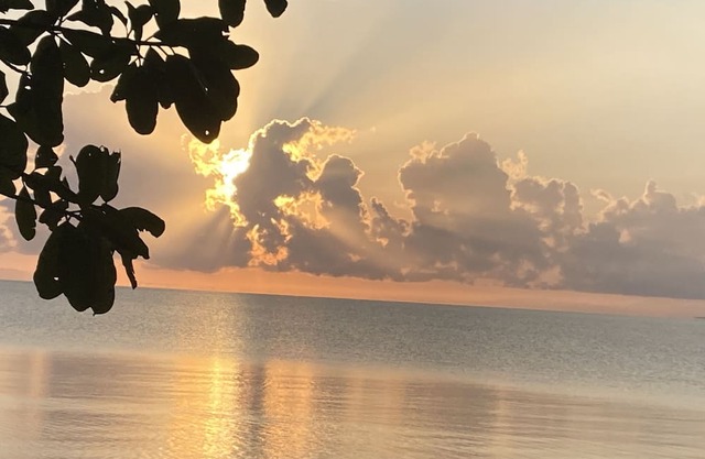 Studio cabin with AC & WiFi located in a Tropical Paradise