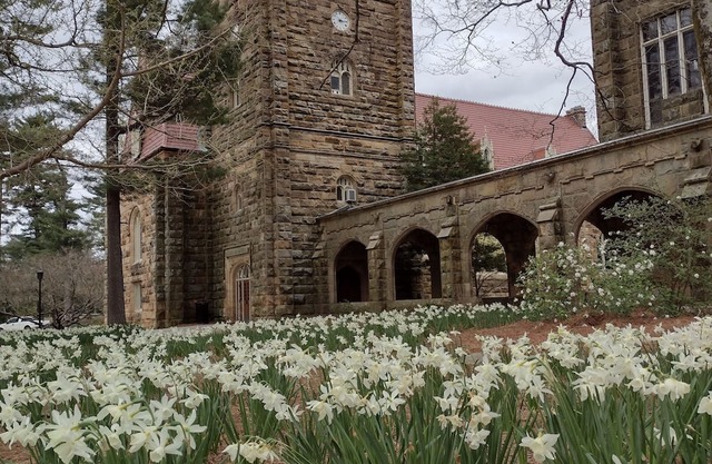 Quiet, cozy, remodeled private Sewanee home on University of The South Domain