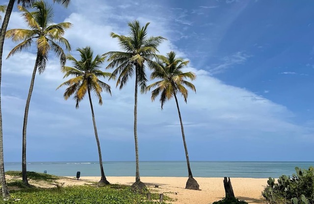 Em Frente à Praia! Apartamento 3 Quartos Vista Para o mar