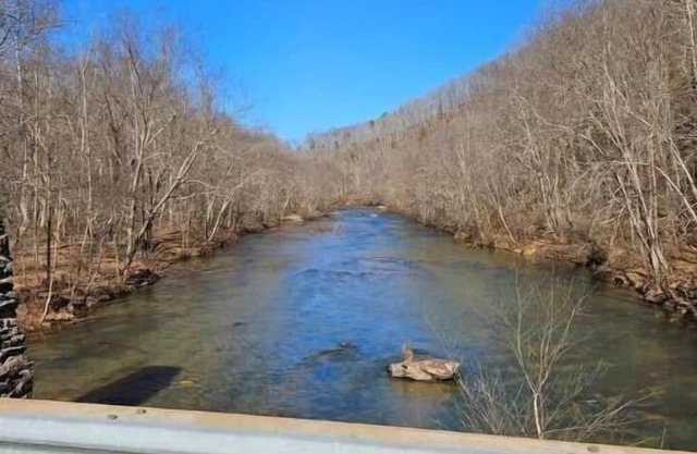 Cute & Homey Camper @ Happy Farm