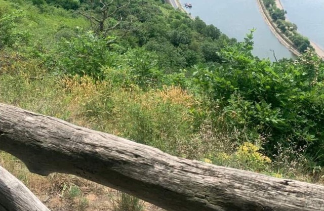 Loreley - Hills Residence