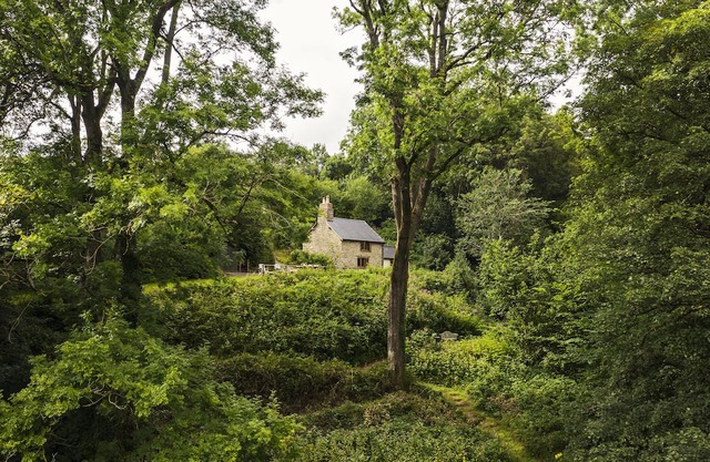 Cabalva Mill Cottage - total privacy and views over the River Wye