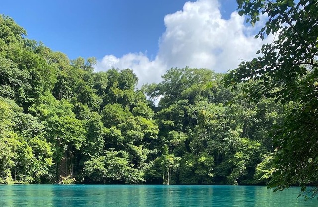 Eco Friendly Oasis Near Beaches and Waterfalls