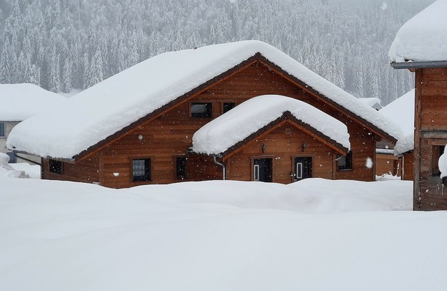 Haut jura semi-detached chalet in lamoura at the foot of the cross-country ski trails