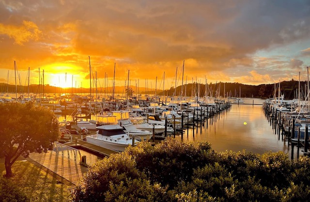 Peaceful Luxury Apartment in the heart of Opua Marina