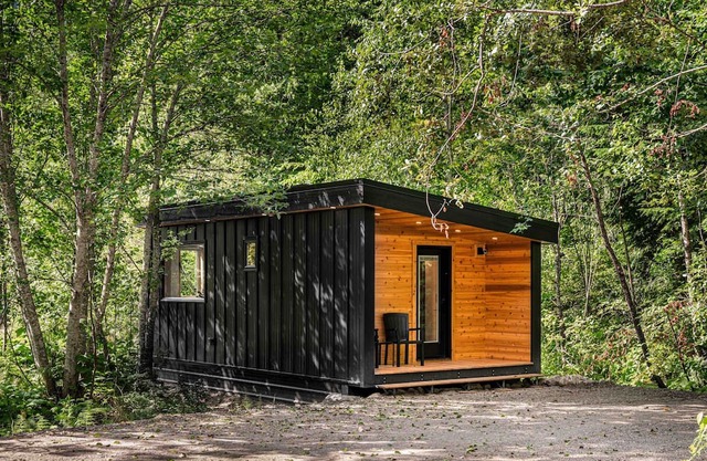 Timber Lodge - Alpha Mountain Lodging